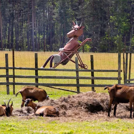 Kozí Farma Nový Dvůr